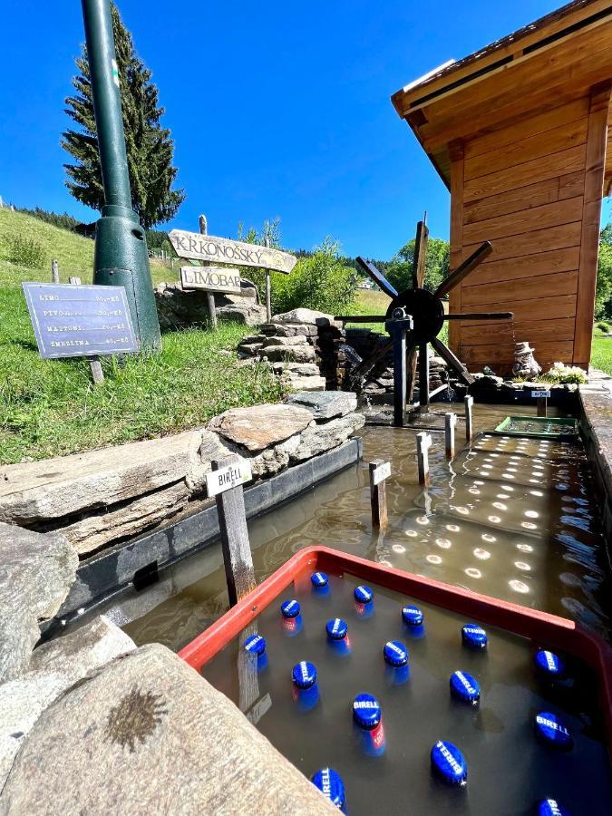 Апартаменты Apartman Labska 21 Ve Spindlerove Mlyne Шпиндлерув-Млин Экстерьер фото
