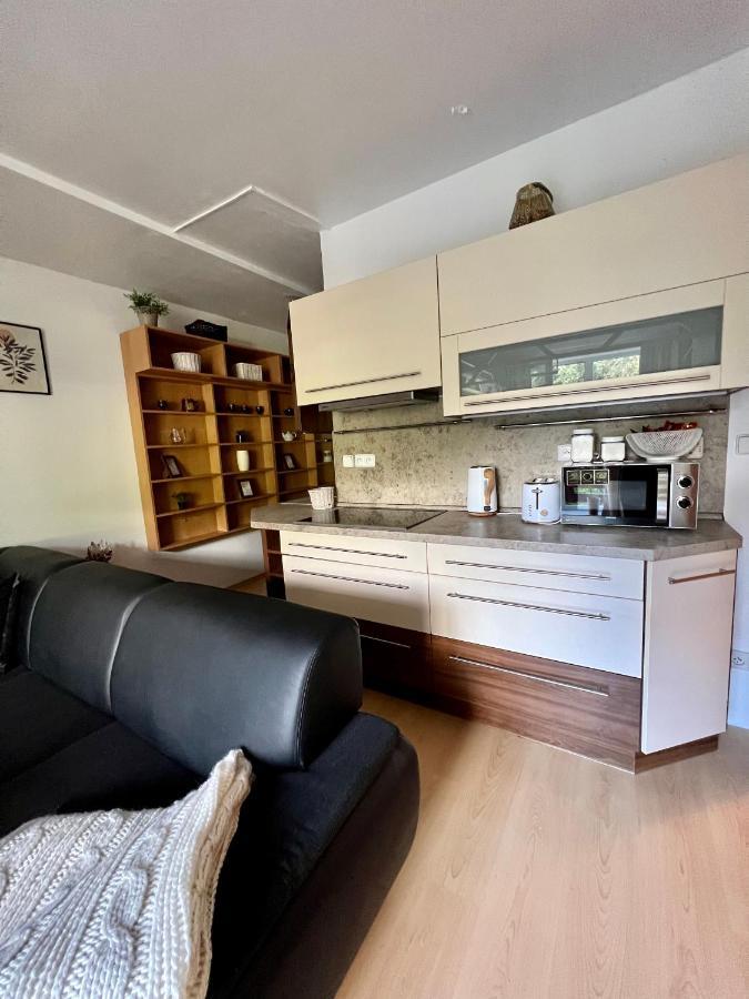 Апартаменты Apartman Labska 21 Ve Spindlerove Mlyne Шпиндлерув-Млин Экстерьер фото